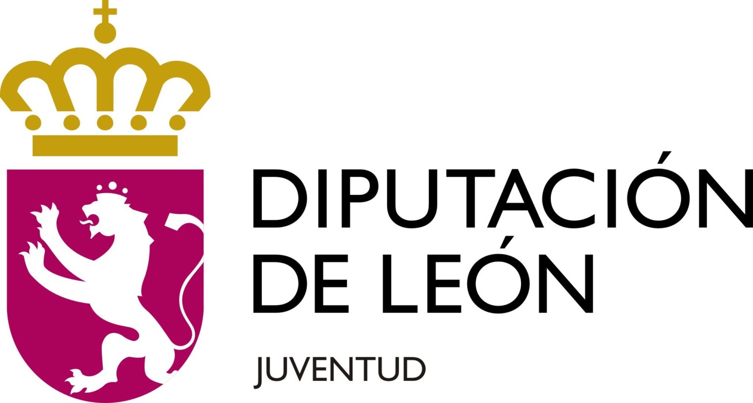 Logo DipuLeón